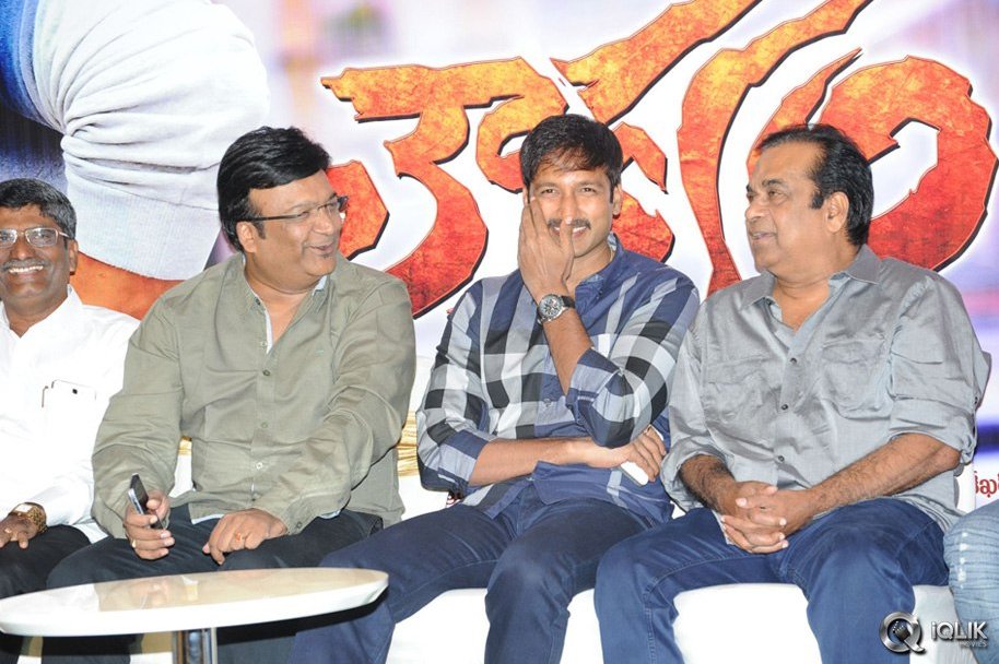 Loukyam-Movie-Platinum-Disc-Function